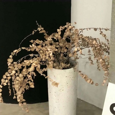 Furry绘画动态技巧FurryQQ群